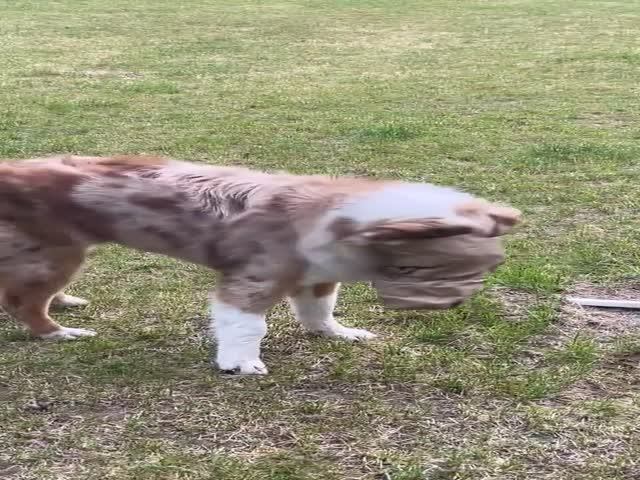 #